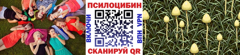 наркошоп гидра tor Галлюциногенные грибы прущие грибы Вятские Поляны